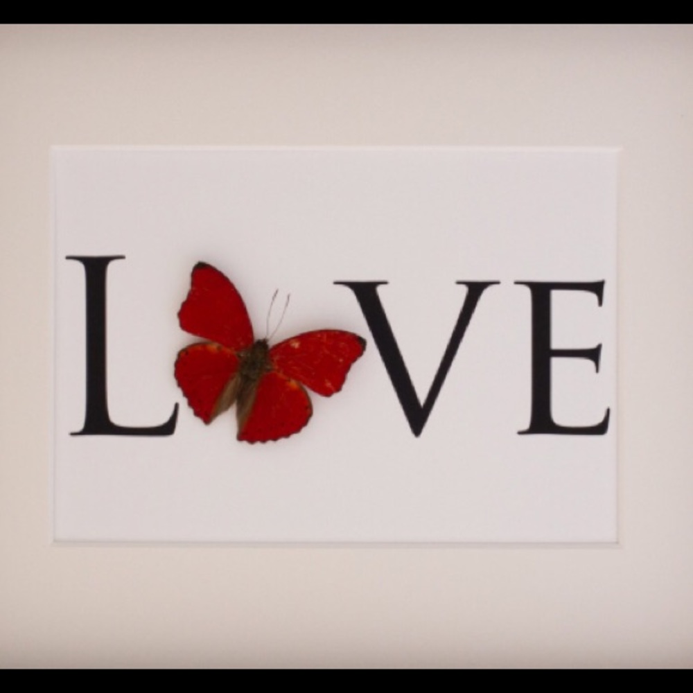 Meet your Posher, Tara